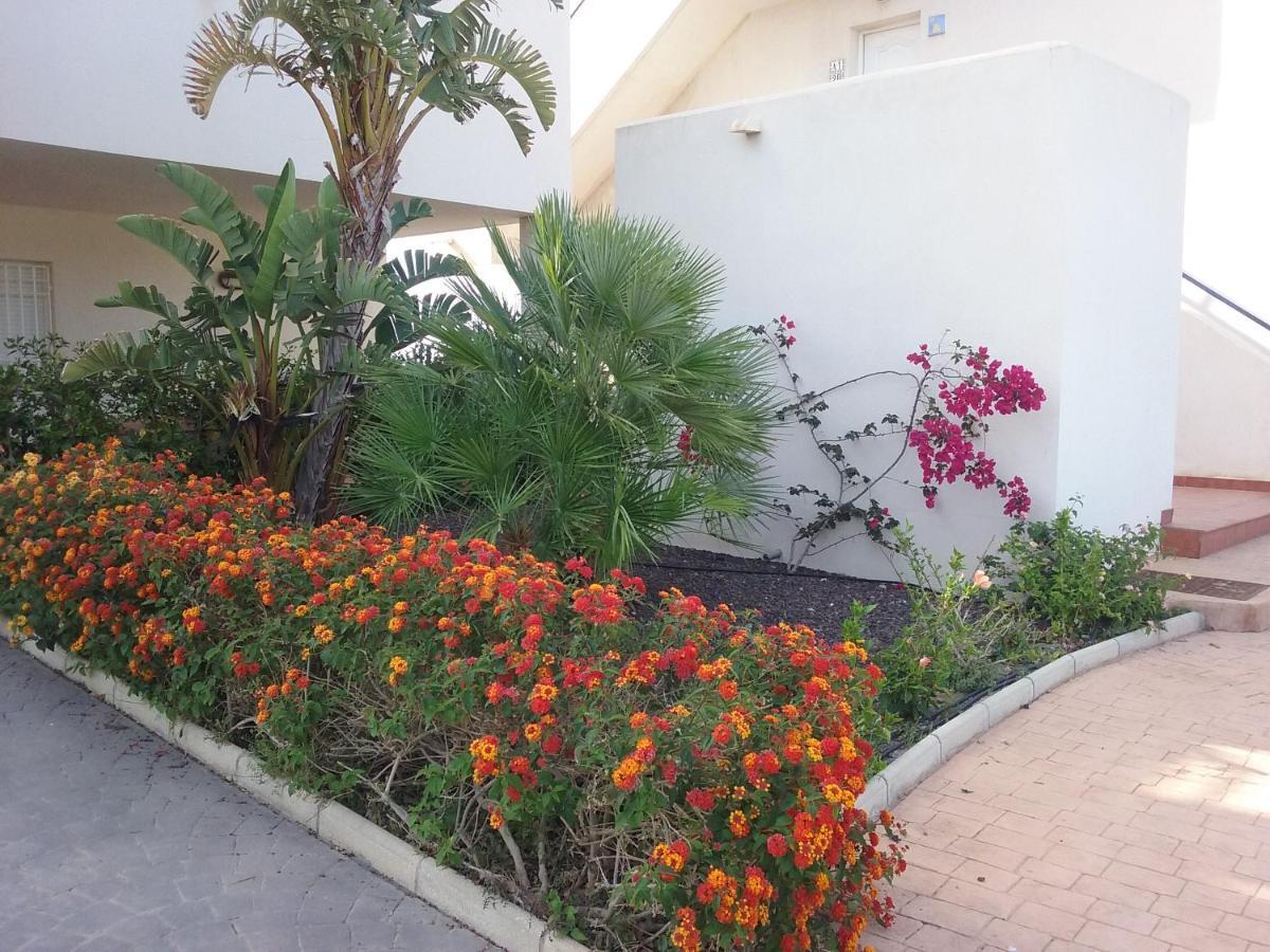 Apartamento Junto Al Mar En La Costa De Almeria El Pozo del Esparto Exterior foto